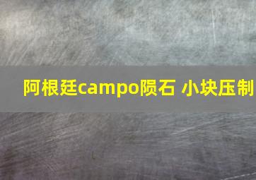 阿根廷campo陨石 小块压制